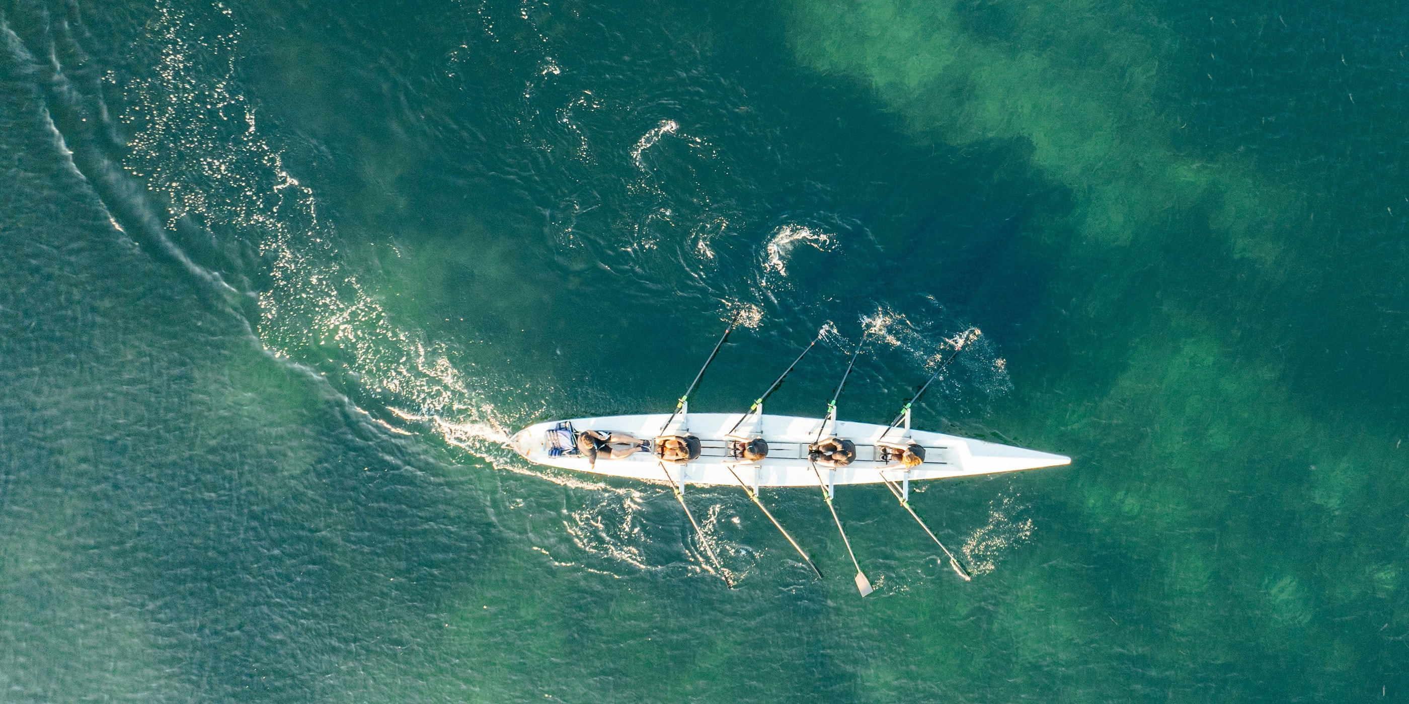 A rowing crew pulling in unison — one team, one direction